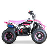 Quad Mini Raptor 50 R-6