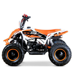 Quad Mini Raptor 50 R-6