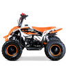 Quad Mini Raptor 50 R-6