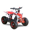 Quad Mini Raptor 50 R-6
