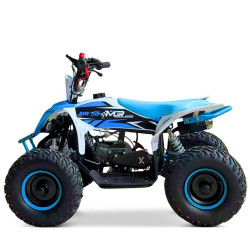 Quad Mini Raptor 50 R-6