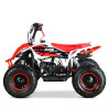 Quad Mini Raptor 50 R-6