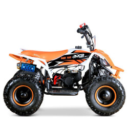 Quad Mini Raptor 50 R-6