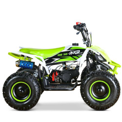 Quad Mini Raptor 50 R-6