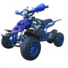 QUADMINI 50CC  RAPTOR R 4