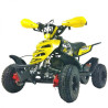 QUADMINI 50CC  RAPTOR R 4