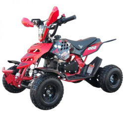 QUADMINI 50CC  RAPTOR R 4