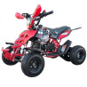 QUADMINI 50CC  RAPTOR R 4