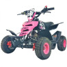 QUADMINI 50CC  RAPTOR R 4