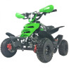 QUADMINI 50CC  RAPTOR R 4