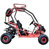 Buggie 125 Infantil XL - Intermotor 2010