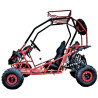 Buggie 125 Infantil XL - Intermotor 2010