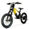 BICI ELECTRICA EOS-18 550W 36V 7.5AH ZIZ.RACING