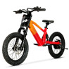 BICI ELECTRICA EOS-18 550W 36V 7.5AH ZIZ.RACING