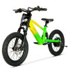 BICI ELECTRICA EOS-18 550W 36V 7.5AH ZIZ.RACING