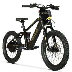 BICI ELECTRICA EOS PRO R20 750W 48V ZIZ.RACING