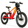 BICI ELECTRICA EOS PRO R20 750W 48V ZIZ.RACING