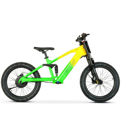 BICI ELECTRICA EOS PRO R20 750W 48V ZIZ.RACING