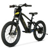 BICI ELECTRICA EOS PRO R20 750W 48V ZIZ.RACING
