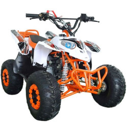 QUAD 125CC  VR12 POLAR Z  Con marcha atras