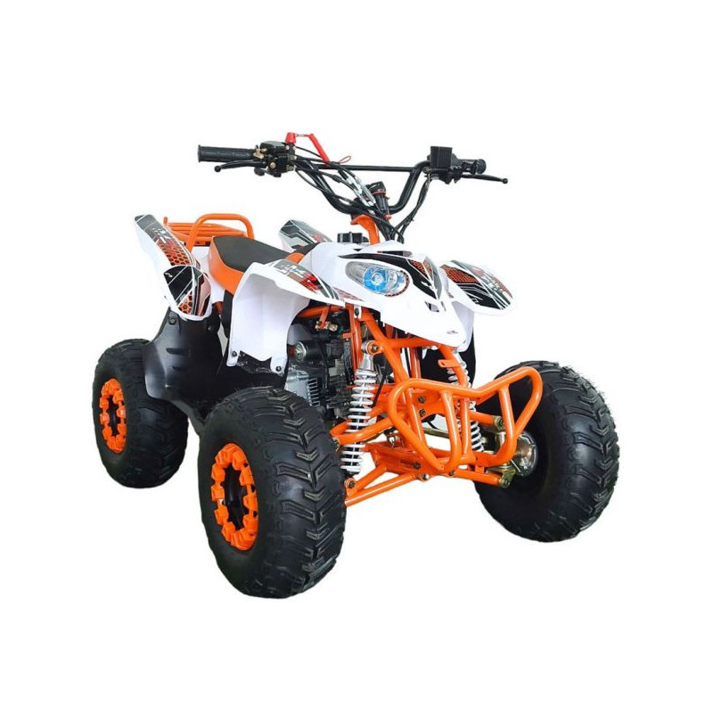 QUAD 125CC  VR12 POLAR Z  Con marcha atras