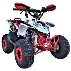 QUAD 125CC  VR12 POLAR Z  Con marcha atras