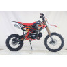 PIT BIKEcc 125 THUNDER XL  2026