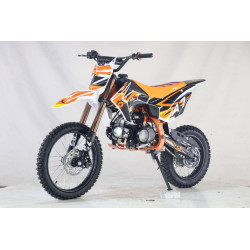PIT BIKEcc 125 THUNDER XL  2026