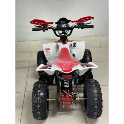 QUAD 1000W 36V   Con pantalla MINIRAPTOR 6
