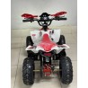 QUAD 1000W 36V   Con pantalla MINIRAPTOR 6