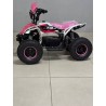 QUAD 1000W 36V   Con pantalla MINIRAPTOR 6