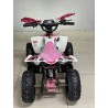 QUAD 1000W 36V   Con pantalla MINIRAPTOR 6
