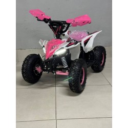 QUAD 1000W 36V   Con pantalla MINIRAPTOR 6