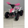 QUAD 1000W 36V   Con pantalla MINIRAPTOR 6