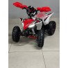 QUAD 1000W 36V   Con pantalla MINIRAPTOR 6
