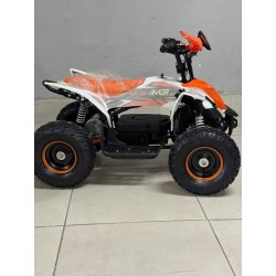 QUAD 1000W 36V   Con pantalla MINIRAPTOR 6