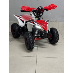 QUAD 1000W 36V   Con pantalla MINIRAPTOR 6