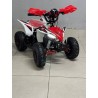 QUAD 1000W 36V   Con pantalla MINIRAPTOR 6