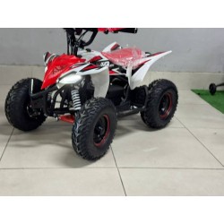 QUAD 1000W 36V   Con pantalla MINIRAPTOR 6