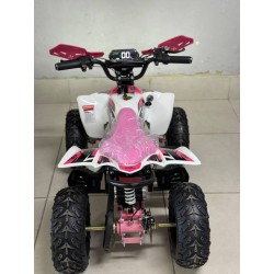 QUAD 1000W 36V   Con pantalla MINIRAPTOR 6