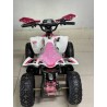 QUAD 1000W 36V   Con pantalla MINIRAPTOR 6