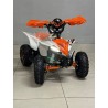 QUAD 1000W 36V   Con pantalla MINIRAPTOR 6