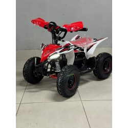 QUAD 1000W 36V   Con pantalla MINIRAPTOR 6