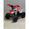 QUAD 1000W 36V   Con pantalla MINIRAPTOR 6