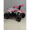 QUAD 1000W 36V   Con pantalla MINIRAPTOR 6