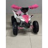 QUAD 1000W 36V   Con pantalla MINIRAPTOR 6