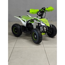 QUAD 1000W 36V   Con pantalla MINIRAPTOR 6