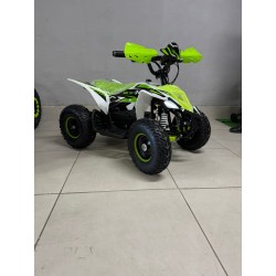 QUAD 1000W 36V   Con pantalla MINIRAPTOR 6