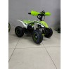 QUAD 1000W 36V   Con pantalla MINIRAPTOR 6