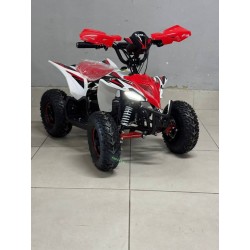QUAD 1000W 36V   Con pantalla MINIRAPTOR 6